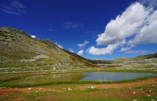 Java nis me diell në Shqipëri