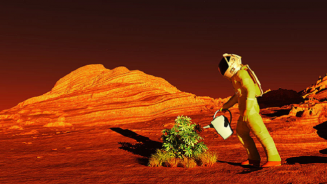 Rrezatimi kozmik mund të prishë planet për bujqësi në Mars