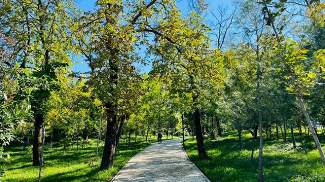 Mot me diell dhe ngrohtë në Shqipëri