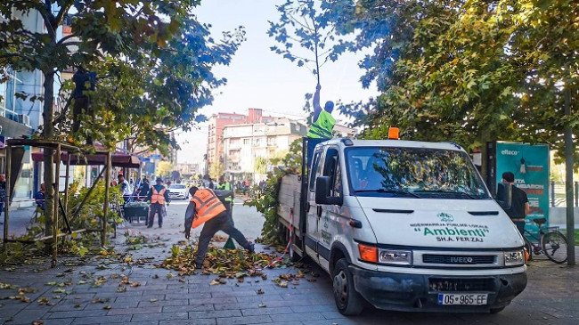 Ferizaj, krasitën drunjtë dekorativ në sheshin e qytetit