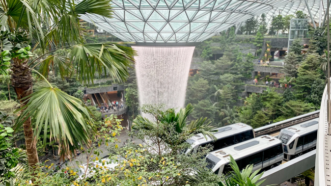 Zbulohet kopshti tropikal magjik në aeroportin e Katarit pak ditë përpara Kupës së Botës [Foto]