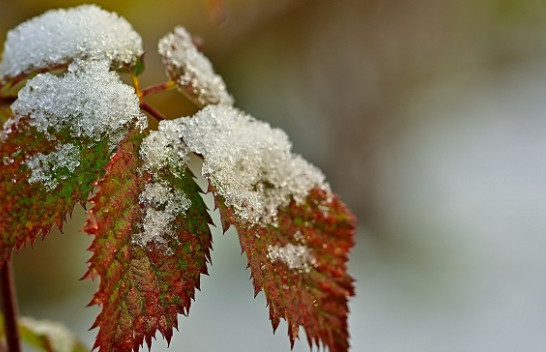 Surprizat e motit, mësoni si do jetë koha në Maqedoni