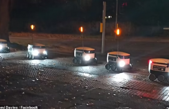 Në foto: Robotët e dërgesës qëndrojnë në radhë me durim për të përdorur vendkalimin e këmbësorëve