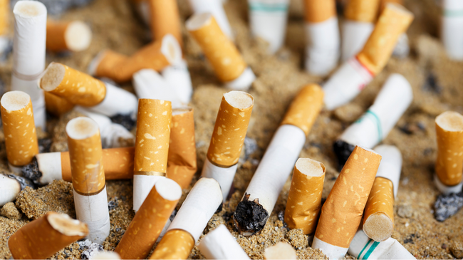 Në këtë vend kompanitë e cigareve do të paguajnë për pastrimin e bishtave në mjedis