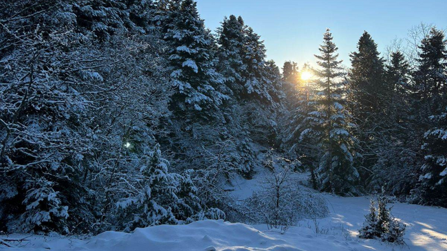 Javë me mot të qëndrueshëm, temperaturat shënojnë rritje në Shqipëri
