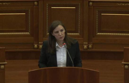 Rizvanolli: Do të vazhdojë subvencionimi i energjisë për qytetarët e Kosovës edhe në forma tjera
