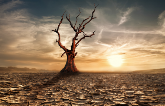 Efektet e ndryshimeve klimatike në planet