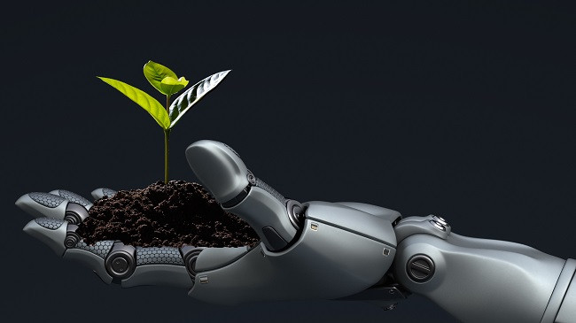 Si mund të ndihmojë Inteligjenca Artificiale mjedisin?