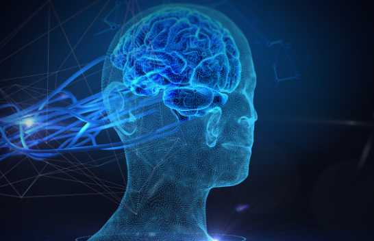 Hulumtim shqetësues: Inteligjenca Artificiale mund të çojë në zhdukjen e specieve njerëzore