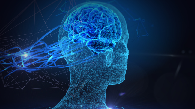 Hulumtim shqetësues: Inteligjenca Artificiale mund të çojë në zhdukjen e specieve njerëzore