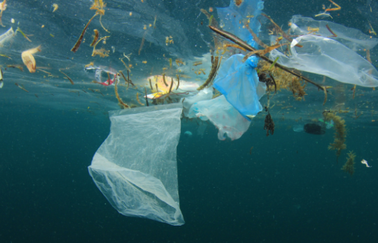 Plastika ‘pushton’ Mesdheun!