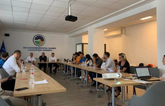 Themelohet Shoqata e Teknologjisë së Informacionit të Kosovës në kuadër të Odës Ekonomike
