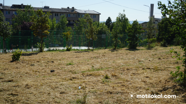 Prishtina po i ngjan ‘shkretëtirës’, lulet dhe bari në pritje të shiut