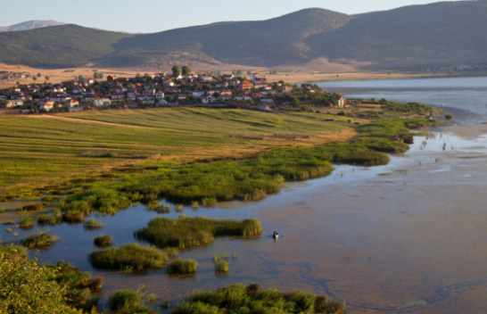 Njihuni me bukuritë e Parkut Kombëtar të Prespës