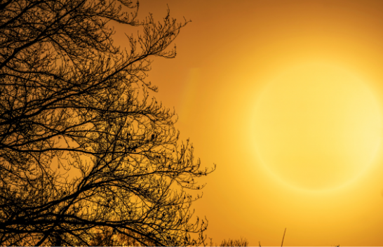 Temperatura rekord dhe mot ekstrem. ja çfarë thonë shkencëtarët