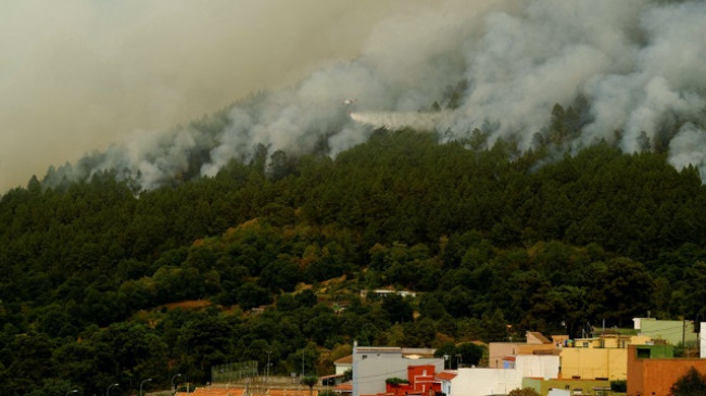 Zjarret shkrumbojnë Tenerifen