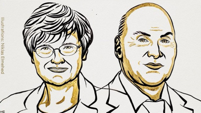 Shpallen fituesit e çmimit Nobel për mjekësi