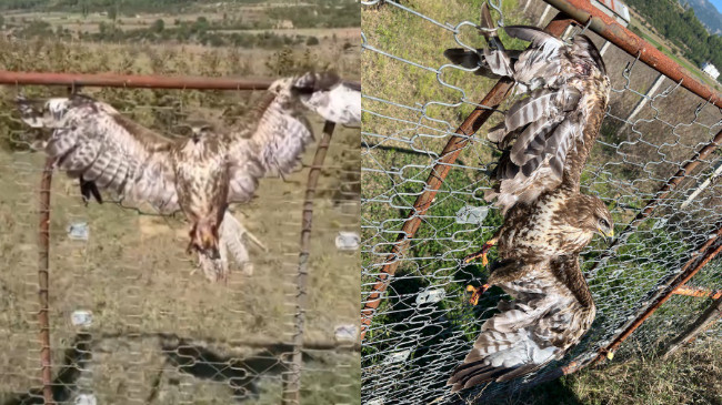 NGJARJE MOSTRUOZE/ Huta lidhet për t’u balsamosur e gjallë në këtë vend të Shqipërisë
