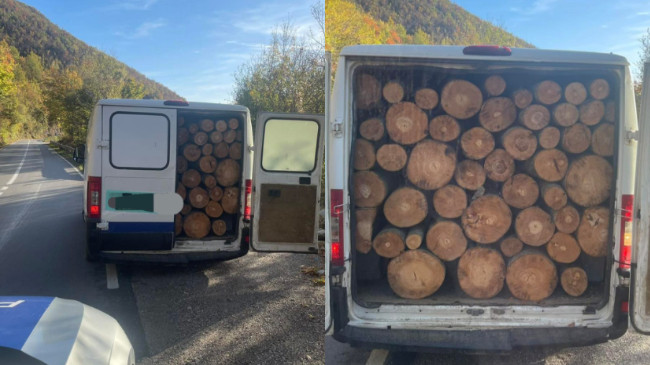 Policia konfiskon një automjet që transportonte drunj të prerë ilegalisht