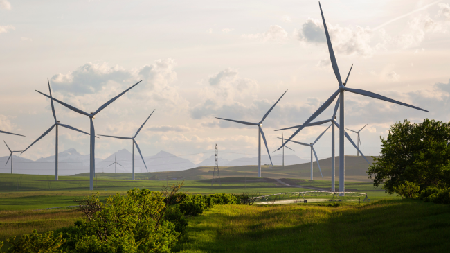 Turqia planifikon miliarda dollarë investime në energjinë e erës