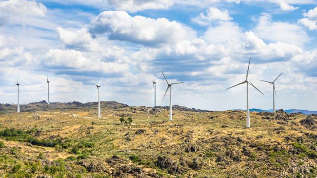 Portugalia përdori 100 për qind të burimeve të rinovueshme për gati një javë, një lider në energjinë e pastër në Evropë