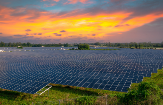 Energjia diellore tejkalon ripyllëzimin për reduktimin e ndryshimeve klimatike