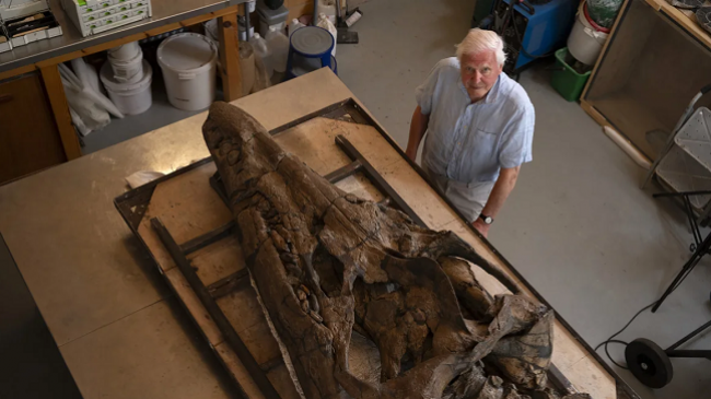 Gjendet një kafkë gjigante e përbindëshit prehistorik të detit në Anglisë
