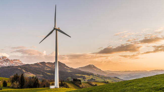Rekord botëror në energjinë e erës: Turbina prej druri u instalua në këtë shtet