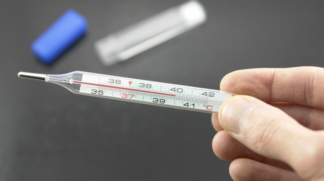 Çfarë ndodh në trup kur kemi temperaturë të ngritur: A duhet ulur menjëherë?