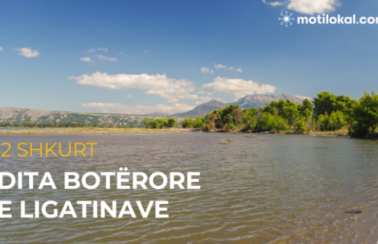 Sot Dita Botërore e Ligatinave
