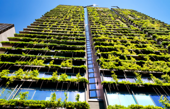 Bimët që rriten në mure: Fruta të arkitekturës moderne