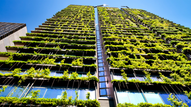 Bimët që rriten në mure: Fruta të arkitekturës moderne