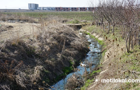 Banorët e një lagje në Prishtinë të rrezikuar nga ujërat e zeza