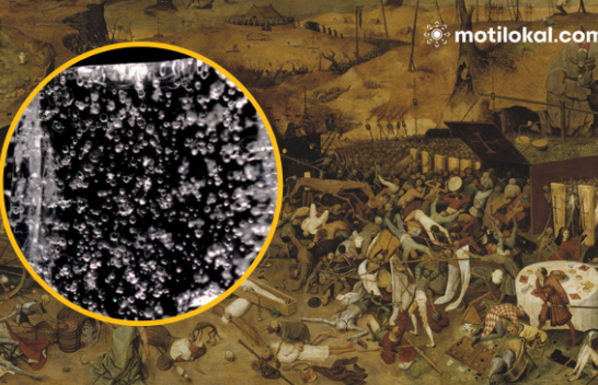 A e ndryshuan atmosferën e Tokës murtajat e disa shekujve më parë?