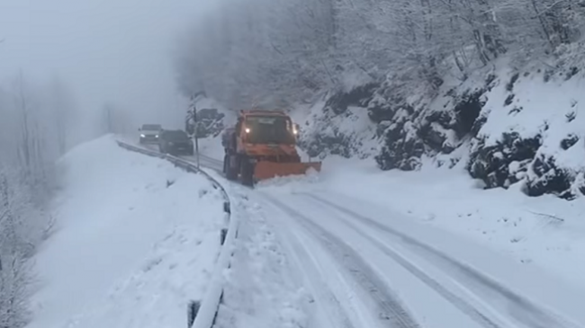 Reshje bore në Bogë-Qafë Thore të Shqipërisë