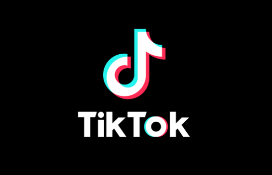 Italia gjobit platformën TikTok me 10 milionë euro për dështimin në mbrojtjen e të miturve
