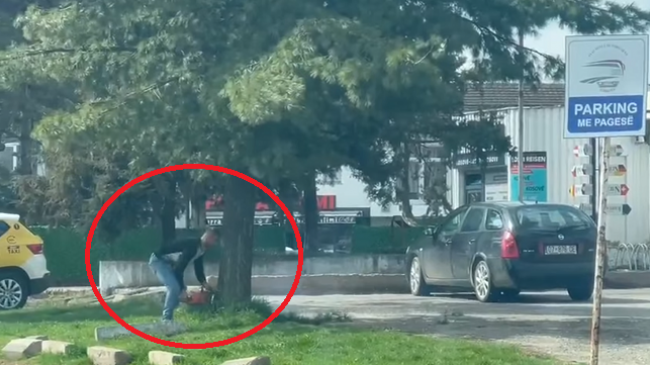 Komuna e Gjakovës nuk ndërmerr asgjë për prerjen e drunjve në qytet