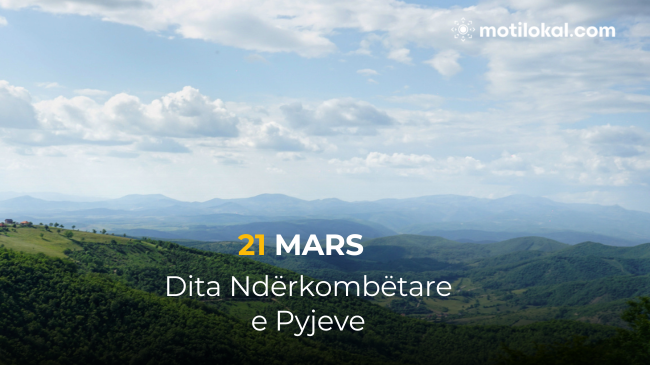 Dita Ndërkombëtare e Pyjeve