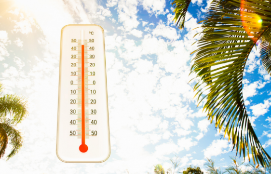Ndryshimet klimatike dhe rritja e temperaturave rrisin rrezikun e sëmundjeve