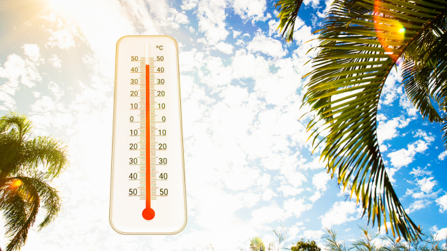Ndryshimet klimatike dhe rritja e temperaturave rrisin rrezikun e sëmundjeve