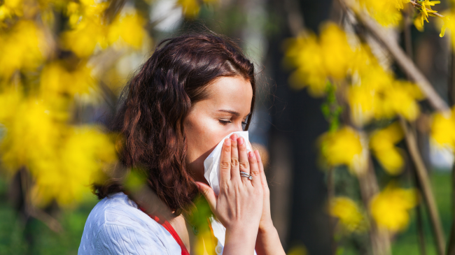 Me këto pesë këshilla të dobishme, mund ta kaloni më lehtë sezonin e alergjive pranverore
