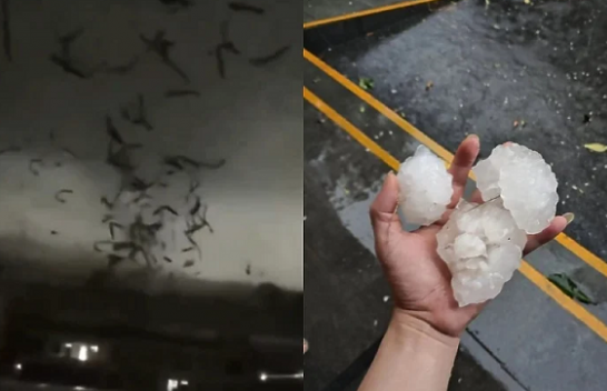 Skena të frikshme: Një tornado e fuqishme e ndjekur nga breshri në madhësinë e një veze goditi Kinën