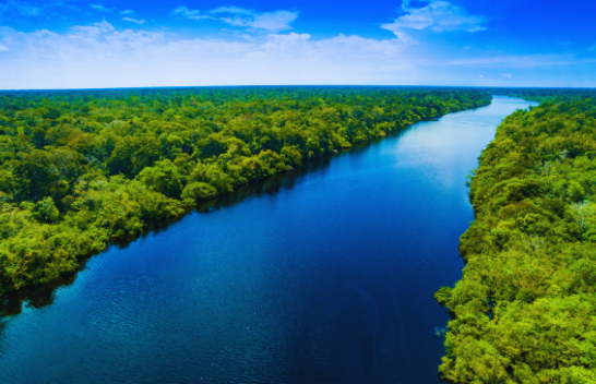 Udhëheqësit japonezë dhe brazilianë bien dakord të mbrojnë pyjet tropikale të Amazonës