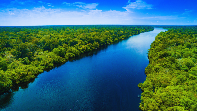 Udhëheqësit japonezë dhe brazilianë bien dakord të mbrojnë pyjet tropikale të Amazonës
