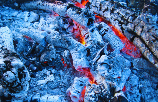 Mos e hidhni hirin e druve të zjarrit: Është i dobishëm për flokët, njollat, por edhe për bimët