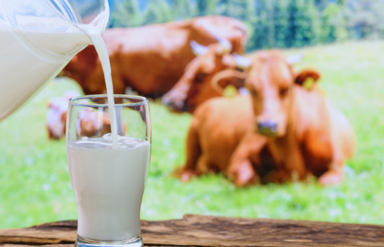 I shëndetshëm apo i dëmshëm: Ja çfarë bën qumështi në trupin tuaj