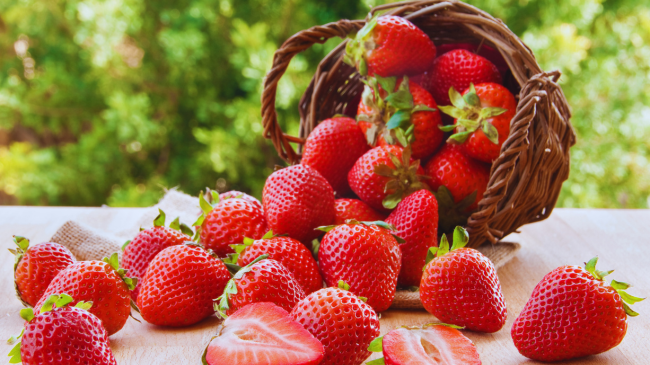 Sezoni i dredhëzave ka filluar: Fruti më shumë përfitime shëndetësore