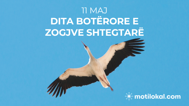 11 Maj - Dita Botërore e Zogjve Shtegtarë