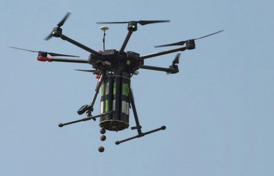 3000 fara të drunjve hidhen nga ajri përmes dronit për ripyllëzimin e Prishtinës