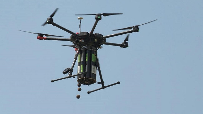 3000 fara të drunjve hidhen nga ajri përmes dronit për ripyllëzimin e Prishtinës